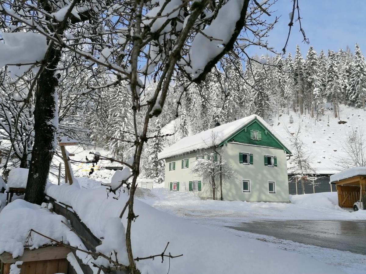 Helle Ferienwohnung Saunahaus Annaberg im Lammertal Exterior photo