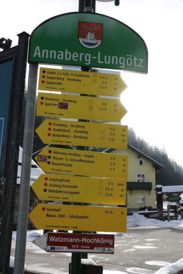 Helle Ferienwohnung Saunahaus Annaberg im Lammertal Exterior photo