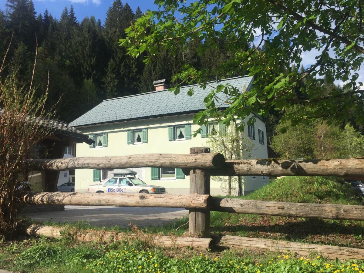 Helle Ferienwohnung Saunahaus Annaberg im Lammertal Exterior photo